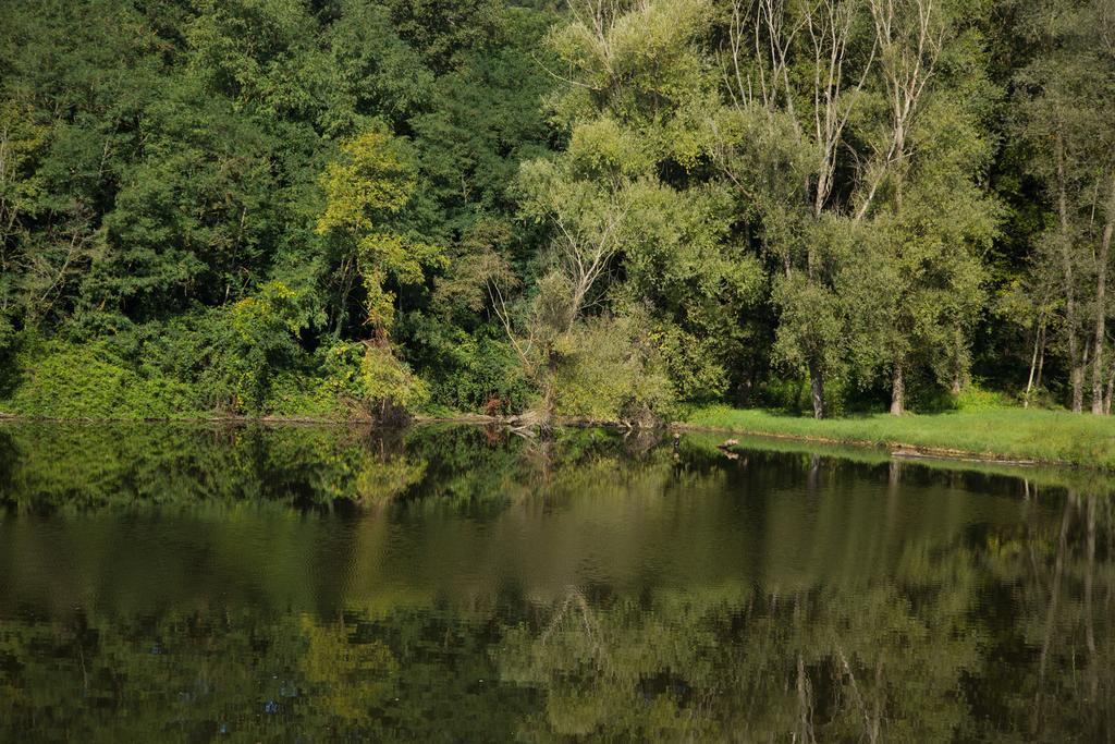 Hotel Del Lago Cavriglia Luaran gambar